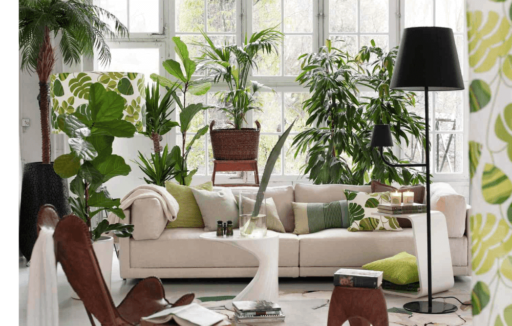 Add Plants in Your Room